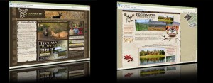 Websites Developed for Tecomate and Tecomate Properties