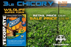 3lb Chicory spring 2016 sale