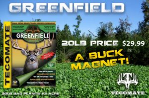 Greenfield 2017 fall store