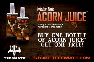 WhiteOak acorn buy 1 get 1 store