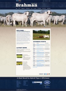 brahman breeders association lg