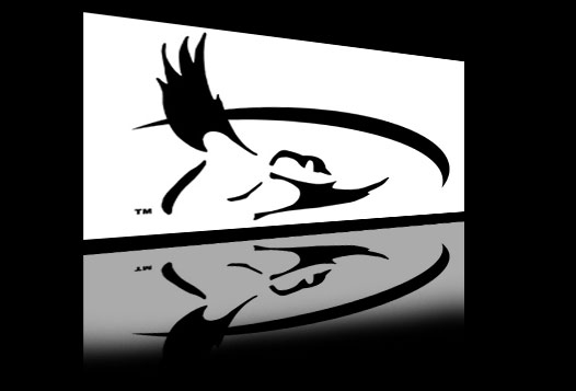 logo fowl pursuit lg2
