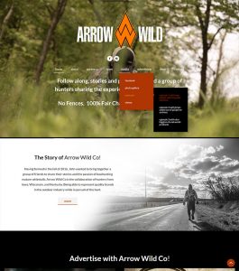 website design arrow wild 2017